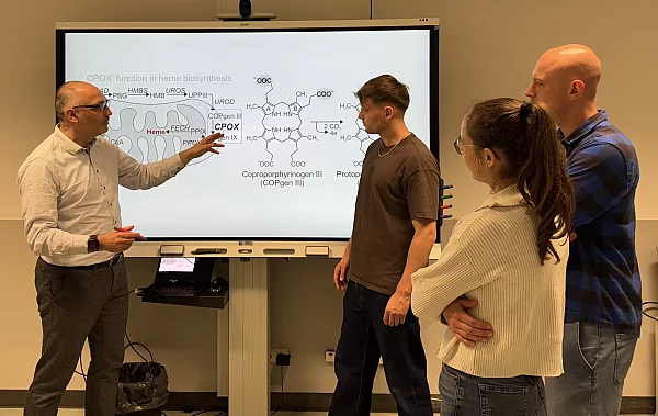 Digitale Lehre – Virtual Biochemistry Lab am Institut für Biochemie